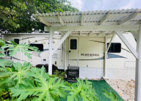 RV in the Little Jungle by Legnalife